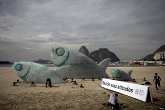 I pesci di Botafogo
